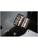 WOODSTOCK "Oldboy T Black Sparkle" with Reunion Blues Gigbag