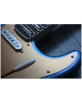 SQUIIER "40th Anniversary Stratocaster, Gold Edition, Lake Placid Blue, Indian Laurel" by Fender