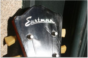 EASTMAN T64/v Amber