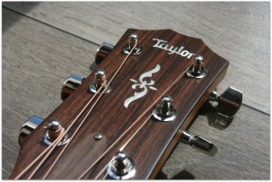 TAYLOR "414ce- Rosewood V -Class"