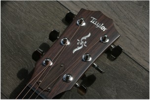 TAYLOR "414ce- Rosewood V -Class"