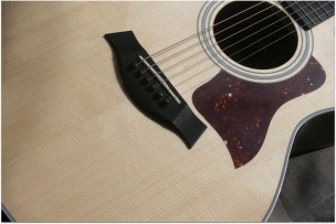 TAYLOR "414ce- Rosewood V -Class"