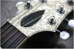 COLLINGS "I 35 Deluxe Hairdog, Nacar Head" HARDCASE
