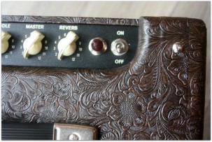 FENDER "Limited Edition Blues Junior IV Western with Cannabis Rex Speaker"
