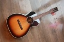 TASMAN "TA100P-E Parlour Acoustic Electric with case"