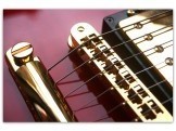 ES-555 Cherry