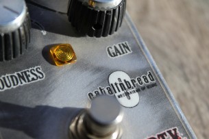 Catalinbread "Dirty Little Secret"