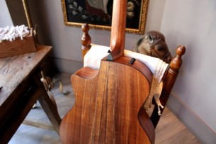 TAYLOR "724ce Hawaiian Koa"