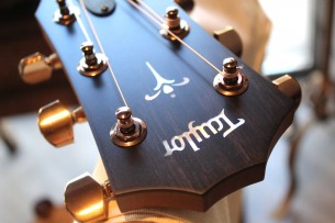 TAYLOR "724ce Hawaiian Koa"