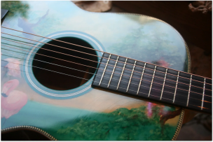 ATKIN "Flamingo Hand Painted by Ian Ward" HARDCASE