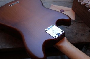 FENDER "Limited American Performer Mustang Bass Maple Neck Honey Burst Satin" GIGBAG, 3, 85 KG