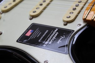 FENDER " American Professional II Stratocaster, Black, Maple" HARDCASE