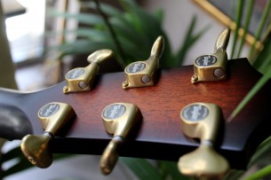 TAYLOR "324ce Builder´s Edition" HARDCASE