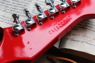 GIBSON "Firebird In Cardinal Red" HARDCASE