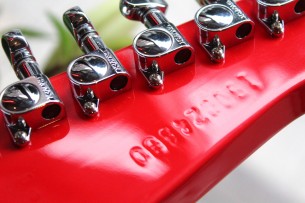 GIBSON "Firebird In Cardinal Red" HARDCASE