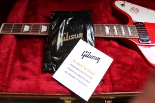 GIBSON "Firebird In Cardinal Red" HARDCASE