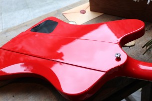 GIBSON "Firebird In Cardinal Red" HARDCASE