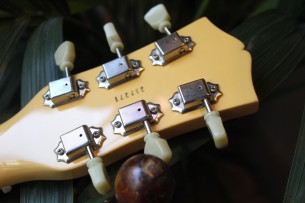 MAYBACH "Lester JR Double Cutaway 2 P-90 Special TV Yellow" HARDCASE, 3, 00 KG