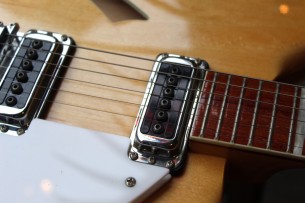 RICKENBACKER "360 Mapleglo" HARDCASE