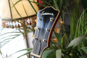 EASTMAN "Solid Carve Top Series T58/v Antique Amber" HARDCASE,2, 74 KG