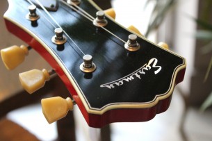 EASTMAN "T59/v Antique Red" HARDCASE, 3, 51 KG