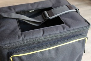 AER "Compact 60 4 with her Gigbag"