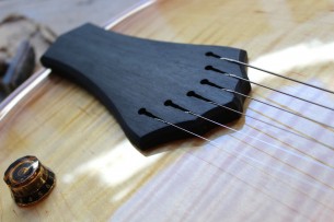 PRS "SC-J Limited 50 pieces Worldwide"