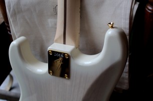 FENDER "Richie Kotzen Stratocaster, Maple Fingerboard, Transparent White Burst" GIGBAG