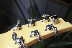 DUESENBERG "Pomona 6 Lapsteel" HARDCASE