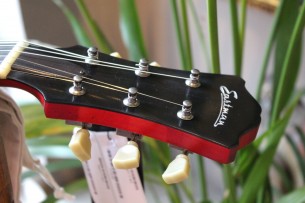 EASTMAN "T64 VT Antique Red" HARDCASE and Paper, 2, 47 KG