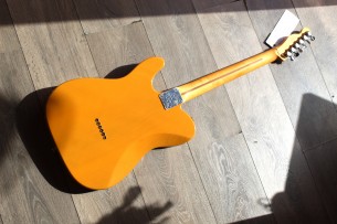 FENDER "Player Plus Telecaster,Butterscotch Blonde, Maple" GIGBAG, 3, 25 KG