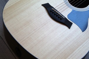 TAYLOR "114e" GIGBAG