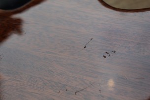 GIBSON "Les Paul Standard Honey Burst Original of 1998" PAPERS & HARDCASE, 4, 56 KG