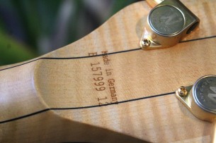 WARWICK "Streamer Stage I - Handcrafted in Germany 2012" HARDCASE, 4, 03 KG