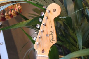 FENDER "EOB Sustainer Stratocaster" GIGBAG