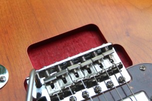 FENDER "Michael Landau "Coma" Stratocaster" HARDCASE