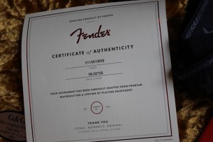 FENDER "Michael Landau "Coma" Stratocaster" HARDCASE