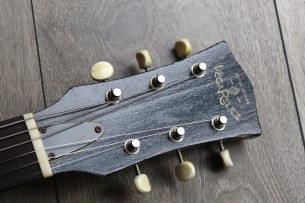 VEGARELIC "Les Paul Junior DC Black Bird Old Sweat Edition" HARDCASE, 3, 1 KG