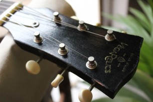 VEGARELIC "Les Paul Junior DC Black Bird Old Sweat Edition" HARDCASE, 3, 1 KG