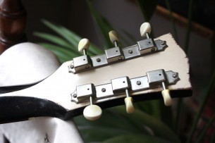 VEGARELIC "Les Paul Junior DC Black Bird Old Sweat Edition" HARDCASE, 3, 1 KG