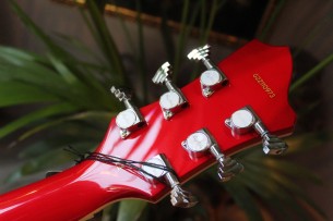 HAGSTROM "Alvar Wild Cherry Transparent! SOFTCASE, 3, 1 KG
