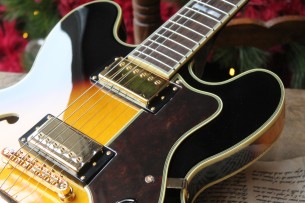 EPIPHONE "Sheraton-II PRO Vintage Sunburst"