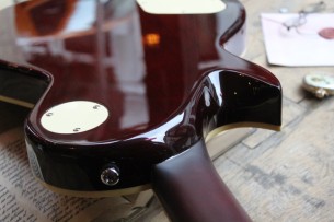 SIRE "Larry Carlton L7V Goldtop" 3, 60 KG