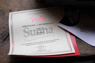 FENDER " Limited Edition Suona Stratocaster Thinline" HARDCASE, 3, 28 KG
