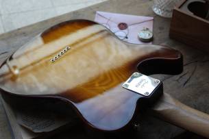 FENDER "Limited Edition Suona Telecaster Thinline" HARDCASE, 3, 01 KG