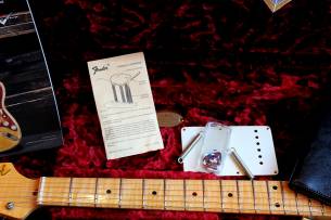 FENDER "Eric Johnson "Virginia" Strat" HARDCASE, 3, 47 KG