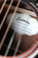 EASTMAN E1P The Bluesmaster Classic, Limited Edition, GIGBAG