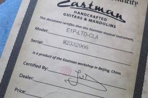 EASTMAN E1P The Bluesmaster Classic, Limited Edition, GIGBAG