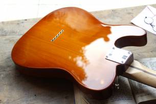 FENDER American Performer Telecaster, Honey Burst, Rosewood
