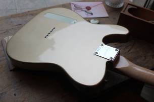 SQUIER Limited Paranormal Cabronita Telecaster Thinline, Matched Head, Shorelin Gold 2, 60 KG